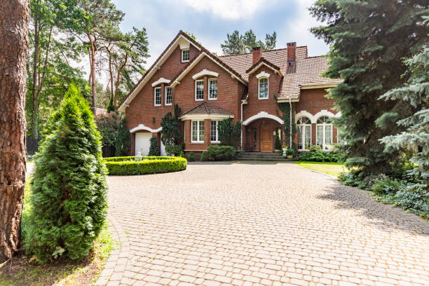 Best Driveway Paving Contractor  in Ozk, AR